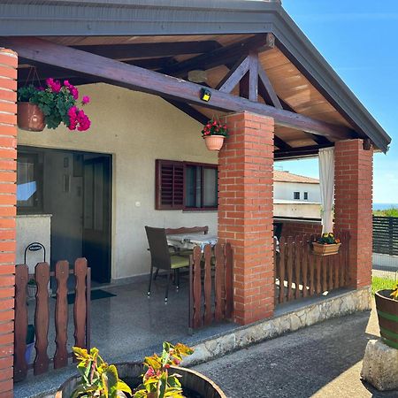 Apartment Samanta Novigrad  Екстер'єр фото